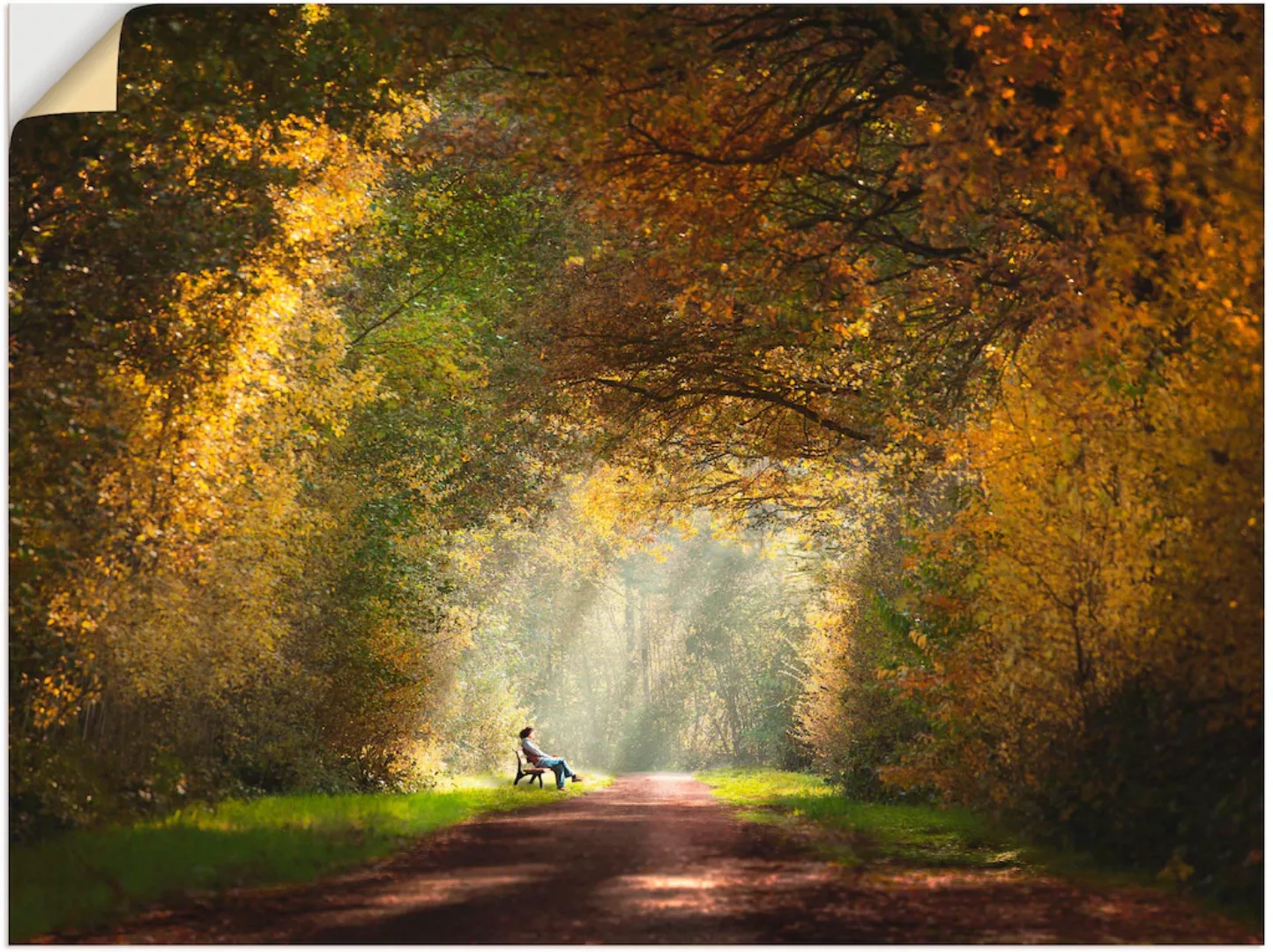 Artland Wandbild "Licht am Ende des Tunnels...", Wald, (1 St.), als Leinwan günstig online kaufen