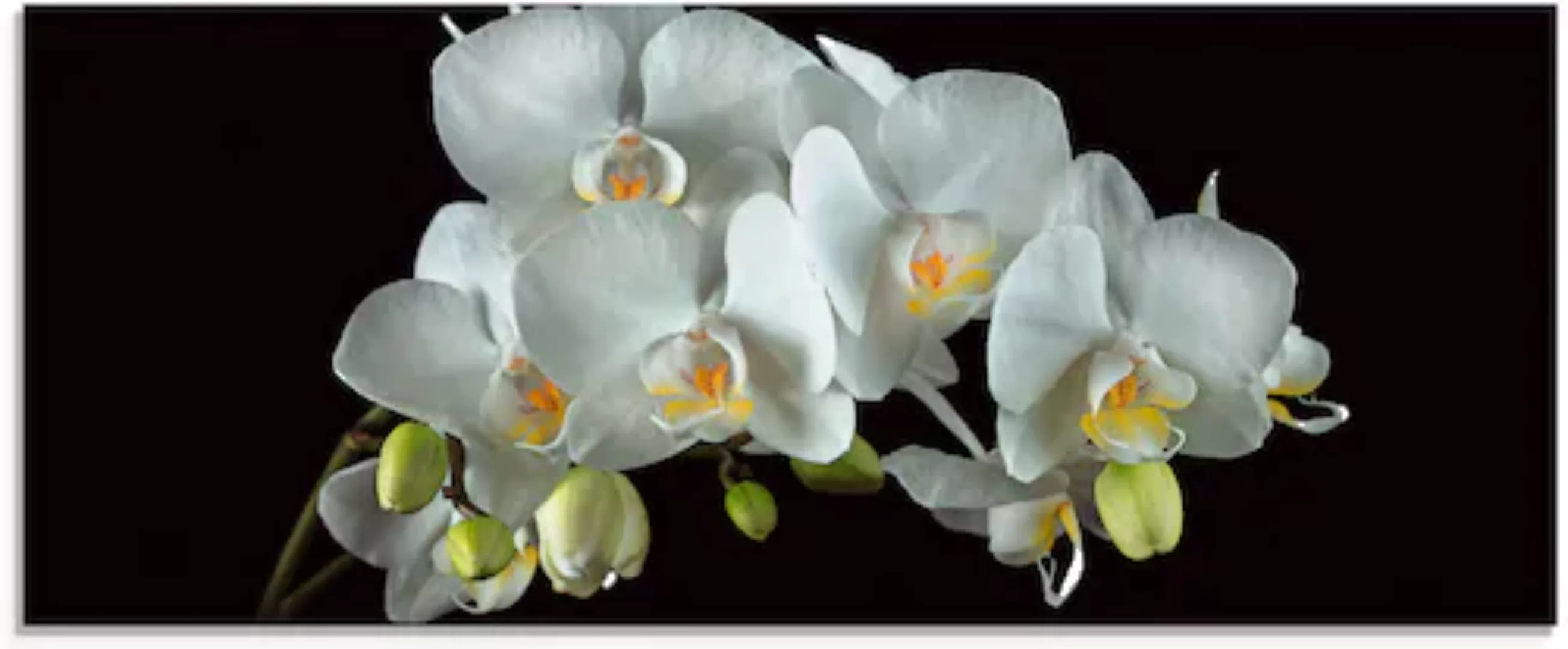 Artland Glasbild »Weiße Orchidee auf schwarzem Hintergrund«, Blumen, (1 St. günstig online kaufen