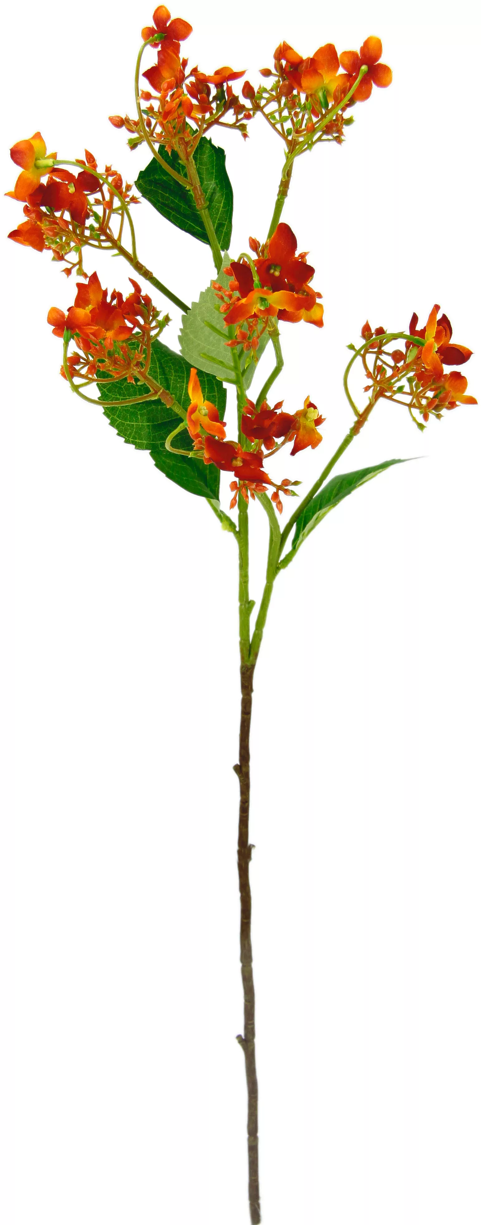 I.GE.A. Kunstblume "Blütenzweig", 5er Set künstlicher Zweig, Kunstpflanze, günstig online kaufen