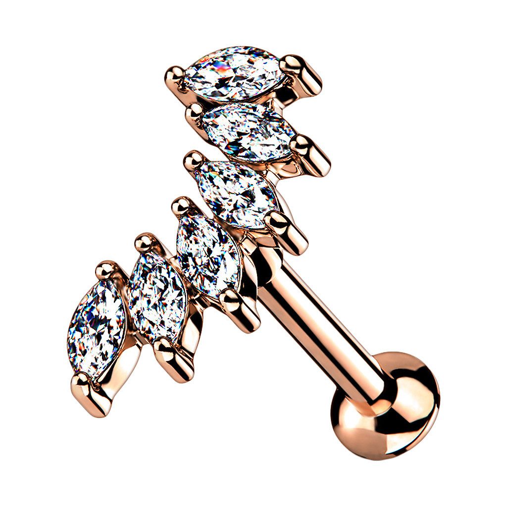 Taffstyle Piercing-Set Tragus Labret Piercing Stecker günstig online kaufen