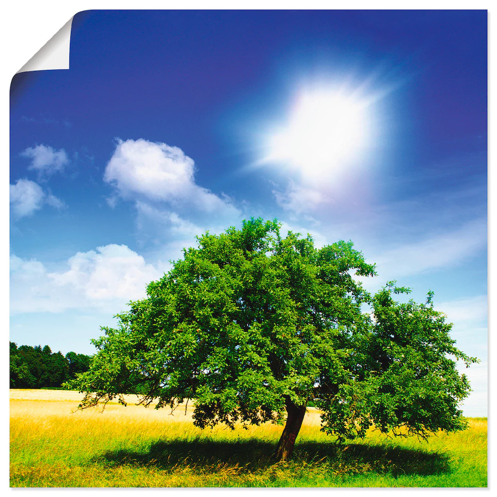 Artland Wandbild »Baum des Lebens«, Bäume, (1 St.), als Leinwandbild, Poste günstig online kaufen