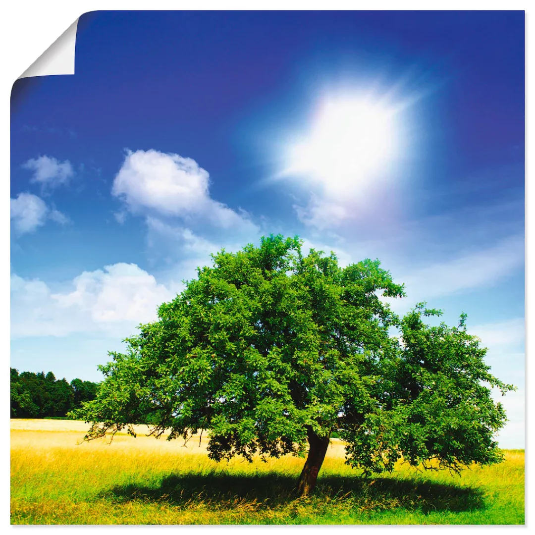 Artland Wandbild "Baum des Lebens", Bäume, (1 St.), als Leinwandbild, Poste günstig online kaufen