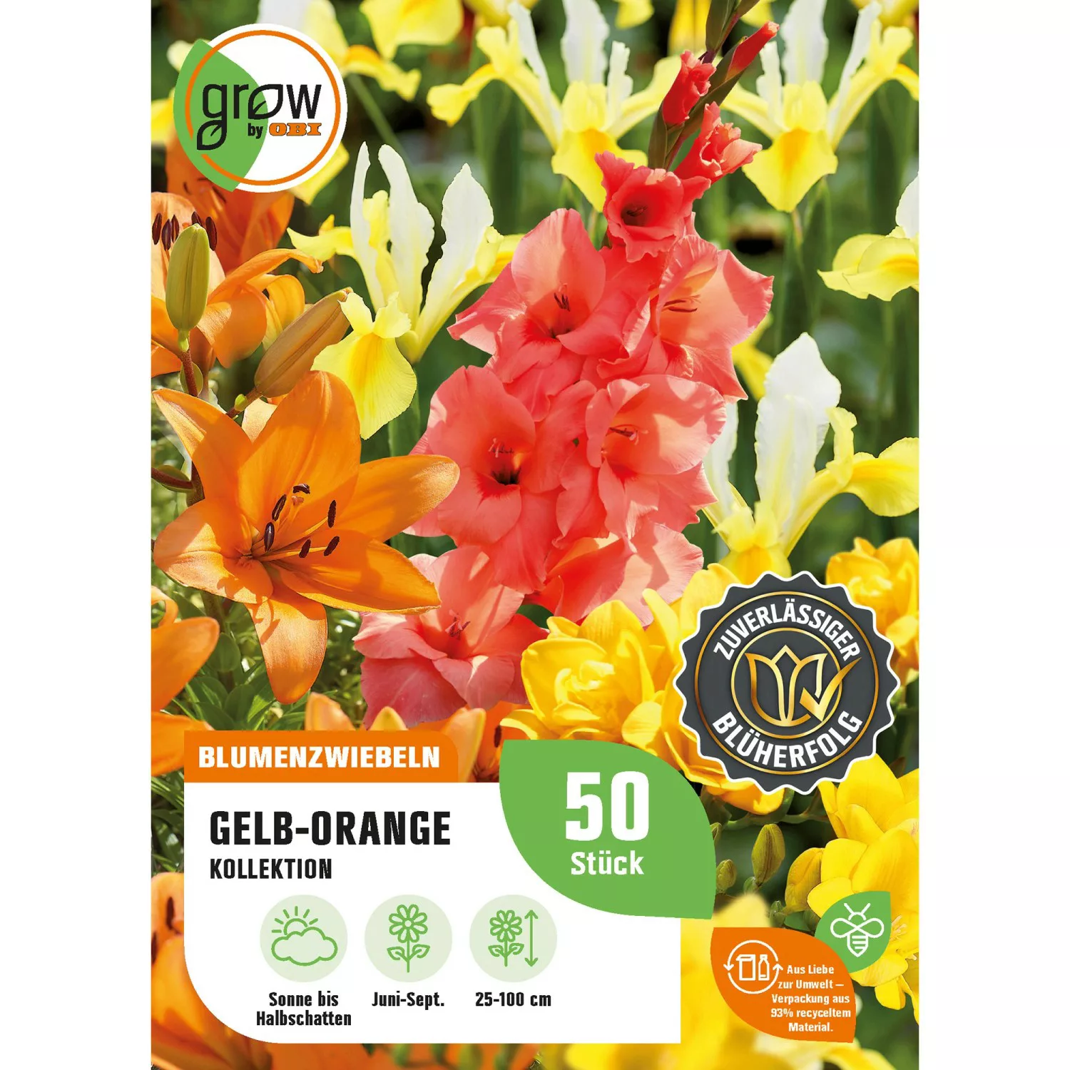 GROW by OBI Farbenarrangement-Kollektion Höhe ca. 25 cm - 100 cm günstig online kaufen