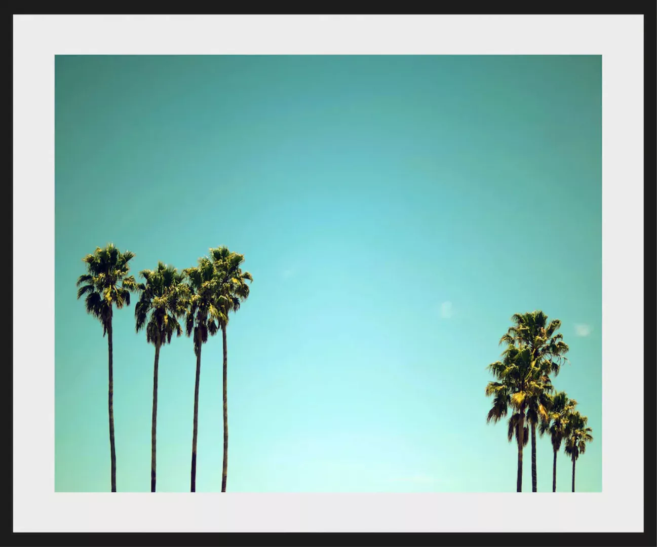 queence Bild »Palma De Mallorca«, Palmen-Foto-Himmel, (1 St.), HD Premium P günstig online kaufen