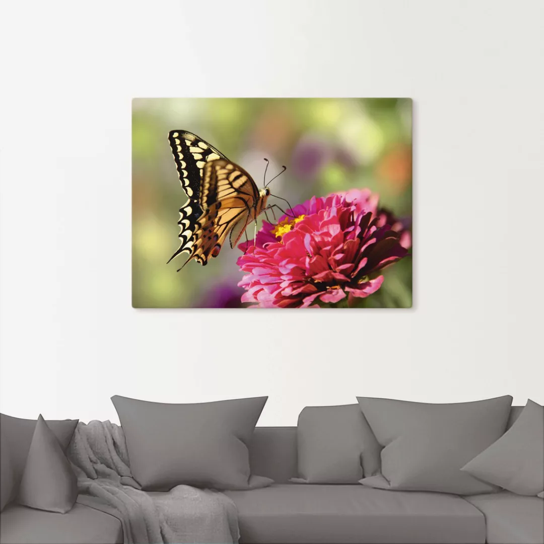 Artland Leinwandbild »Schmetterling«, Insekten, (1 St.), auf Keilrahmen ges günstig online kaufen