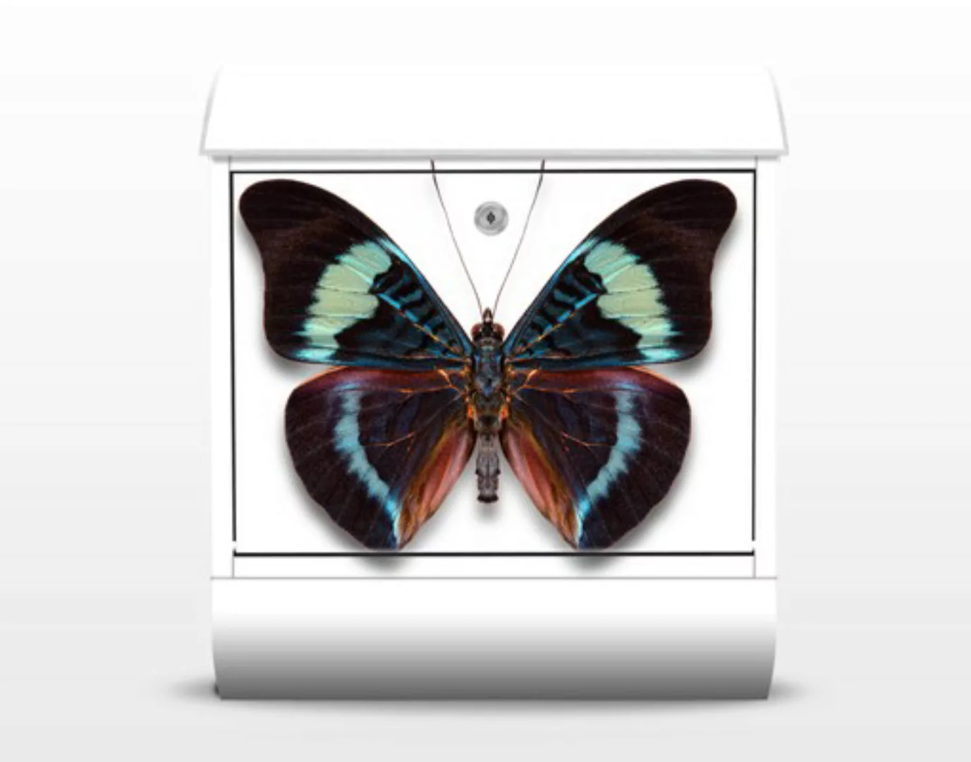 Briefkasten Tiere Lepidoptera günstig online kaufen