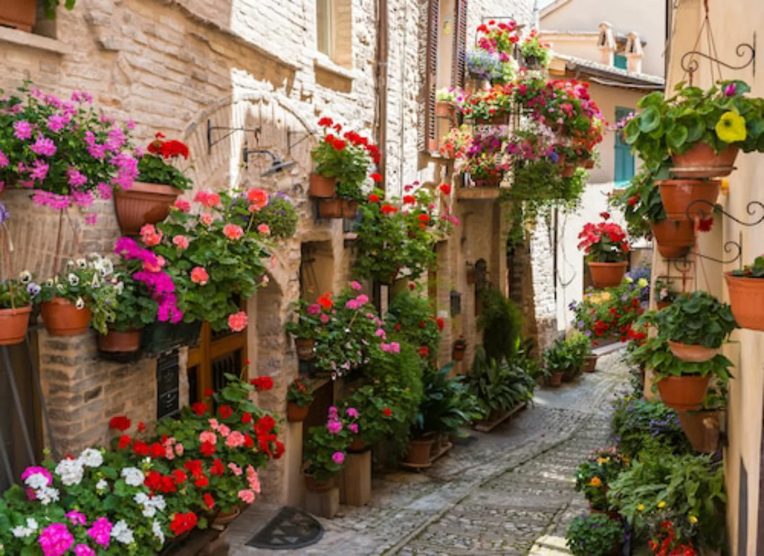 Papermoon Fototapete »Flower Alley in Spello« günstig online kaufen