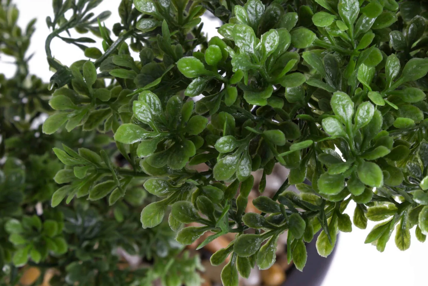 Emerald Kunstpflanze Bonsai Mini-Ficus Grün 32 cm 420002 Kunstpflanzen grün günstig online kaufen