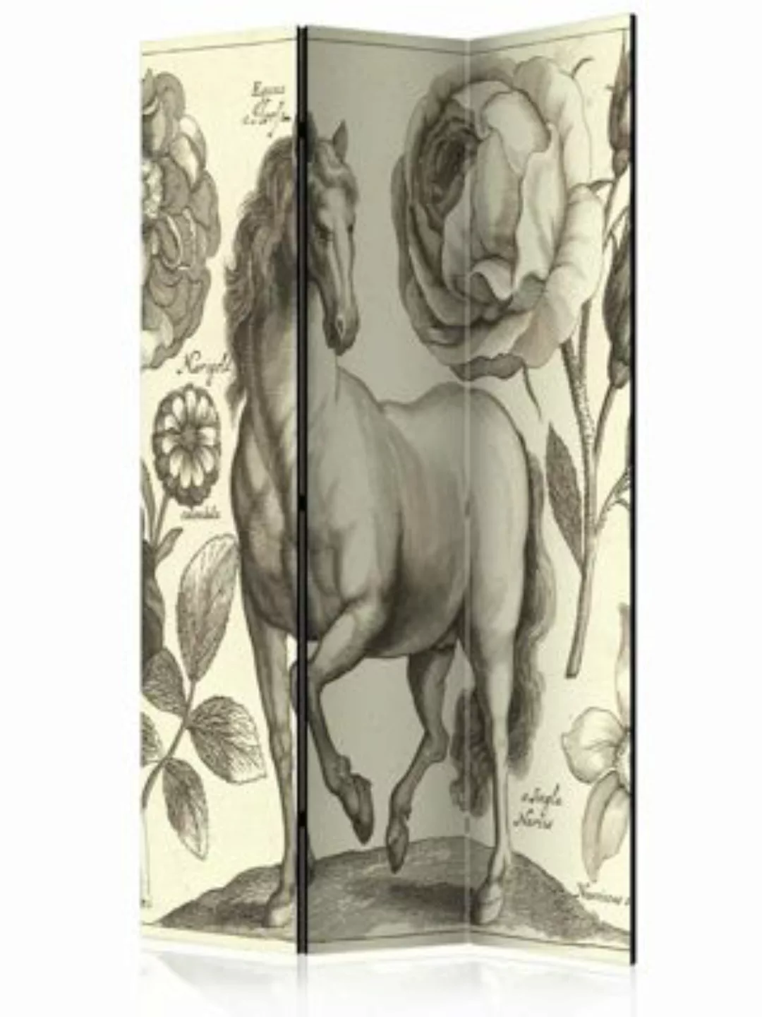 artgeist Paravent Horse [Room Dividers] creme/grau Gr. 135 x 172 günstig online kaufen