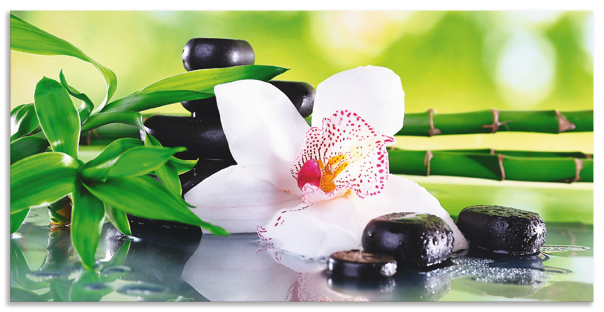 Artland Wandbild "Spa Steine Bambus Zweige Orchidee", Zen, (1 St.), als Alu günstig online kaufen