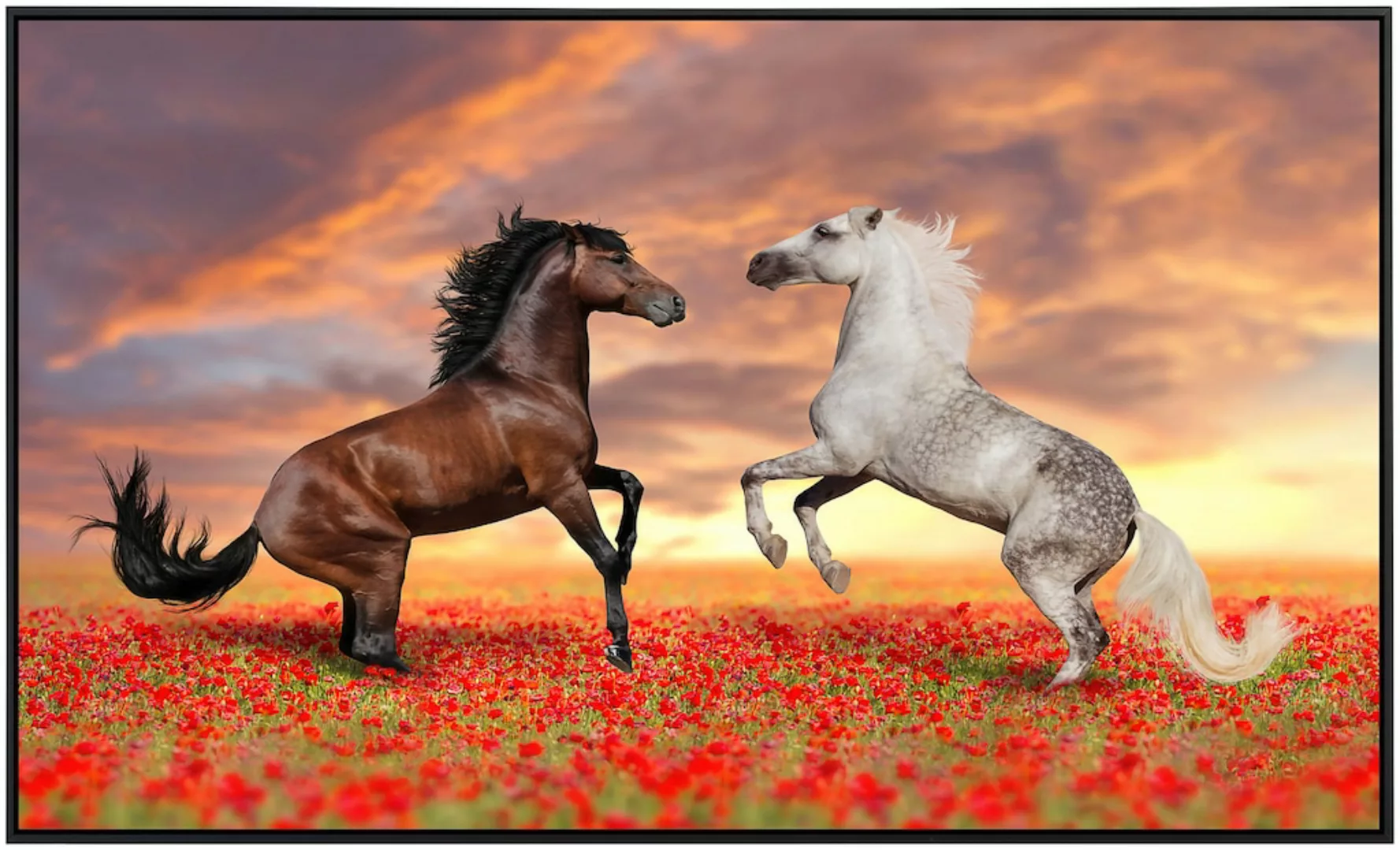 Papermoon Infrarotheizung »Pferde in Blumenwiese« günstig online kaufen