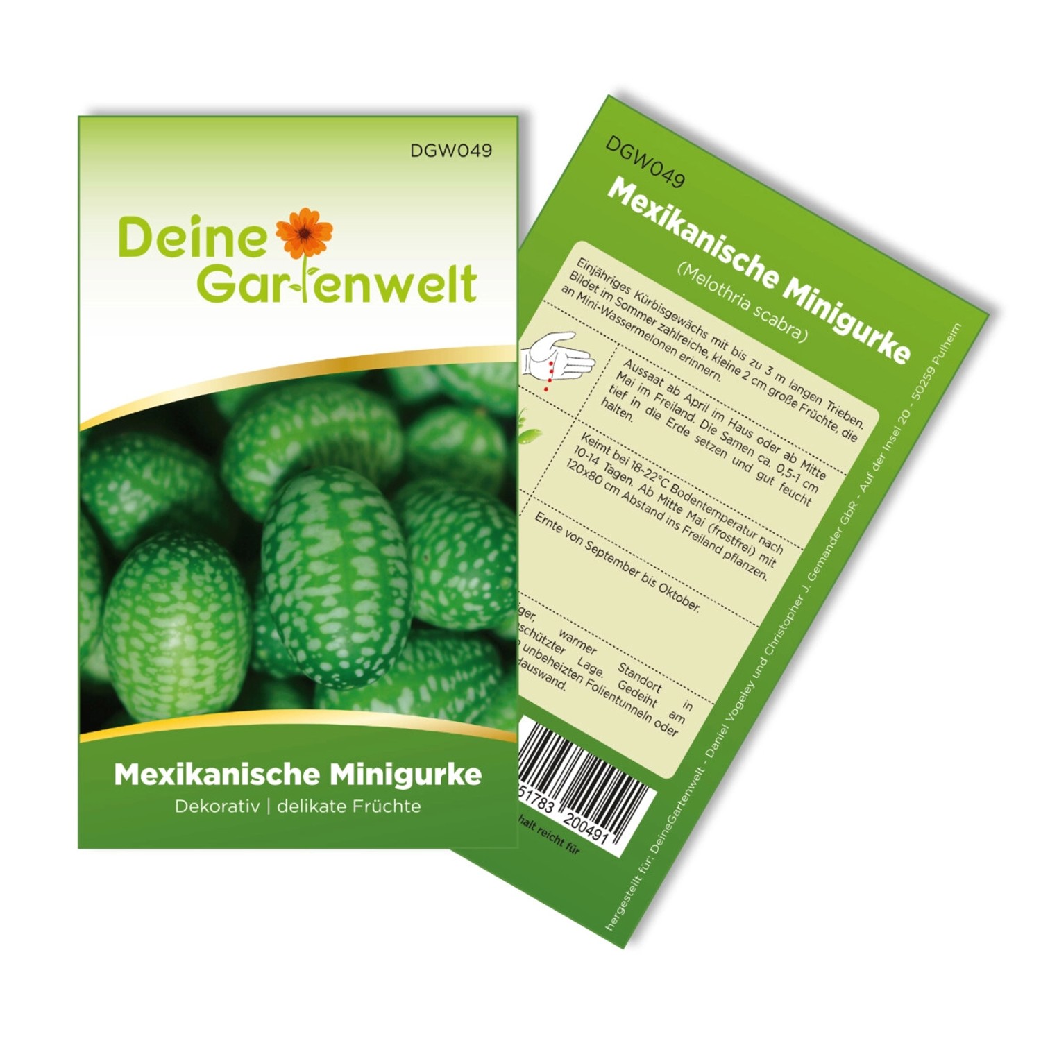 Deine Gartenwelt Mexikanische Minigurke Samen günstig online kaufen