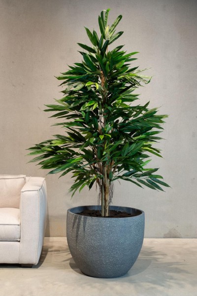 Longifolia Royal Natural Kunstpflanze 150 cm günstig online kaufen