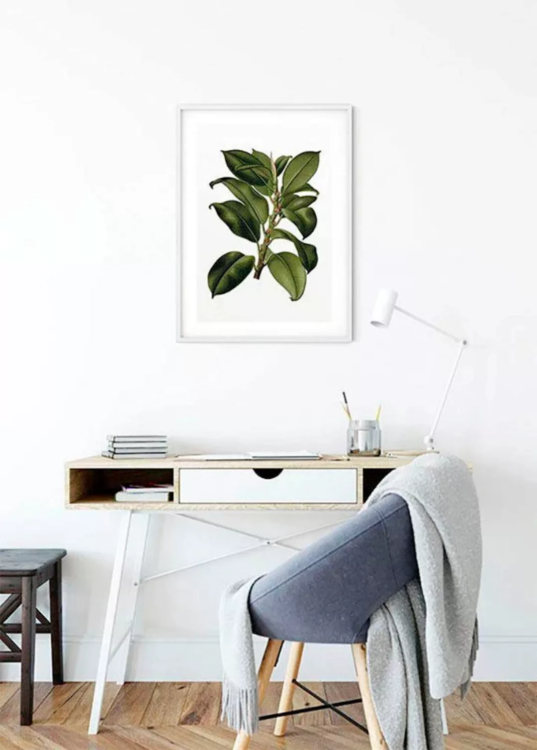 Komar Poster "Elastica Tree", Pflanzen-Blätter, (1 St.), Kinderzimmer, Schl günstig online kaufen
