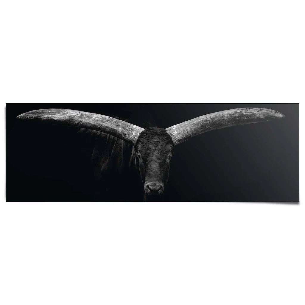 Reinders Poster "Ochse" günstig online kaufen