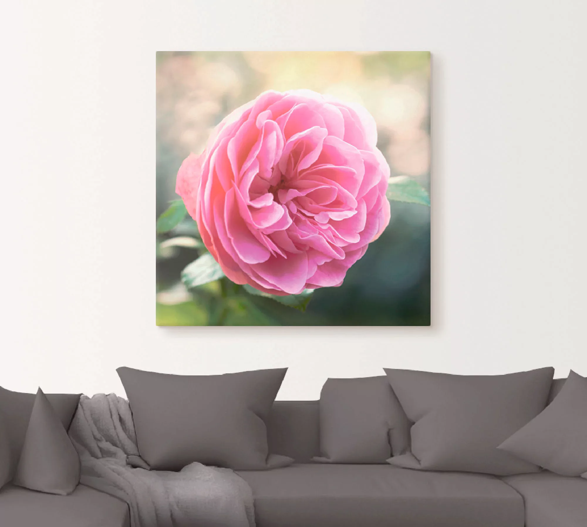 Artland Wandbild "Rosa Rose im Gegenlicht", Blumen, (1 St.) günstig online kaufen