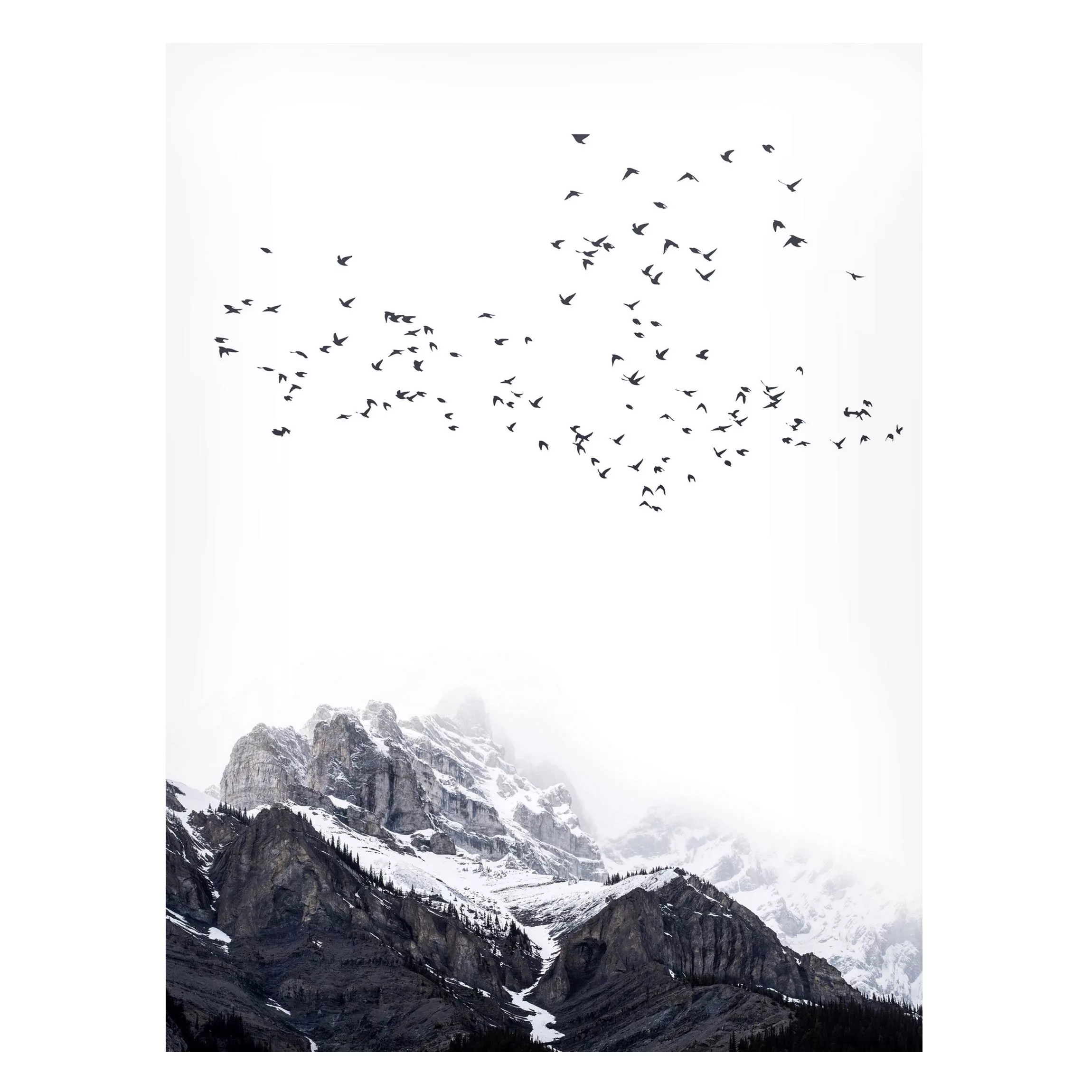 Magnettafel Vogelschwarm vor Bergen Schwarz Weiß günstig online kaufen