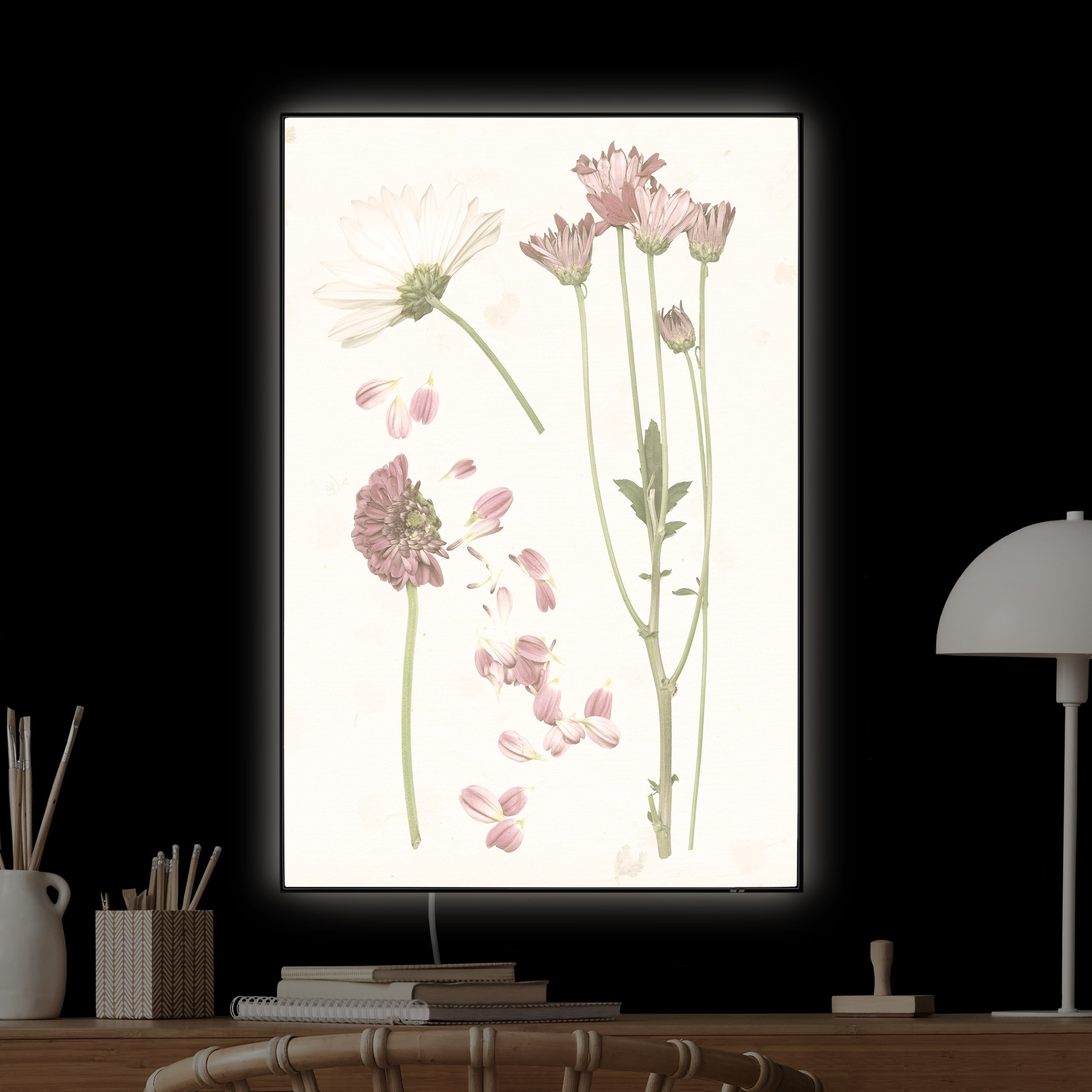 LED-Wechselbild Herbarium in rosa II günstig online kaufen