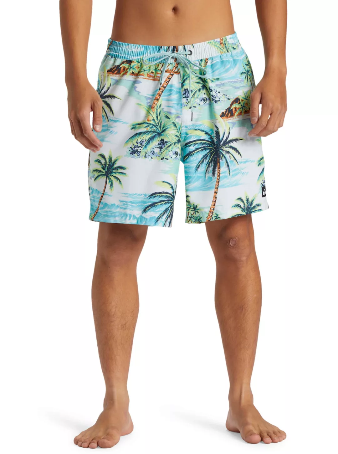 Quiksilver Boardshorts "Everyday Mix 17"" günstig online kaufen