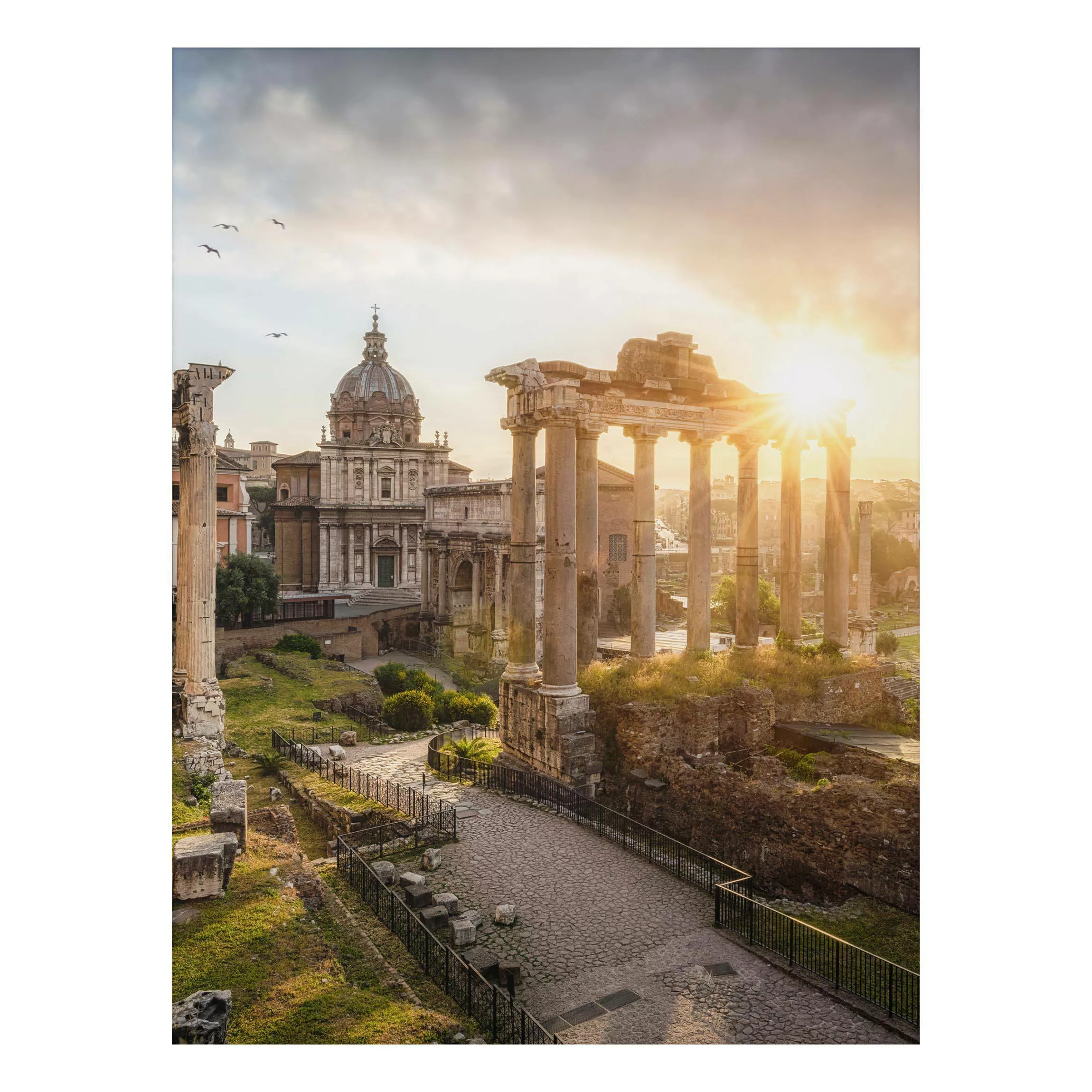 Alu-Dibond Bild Forum Romanum bei Sonnenaufgang günstig online kaufen