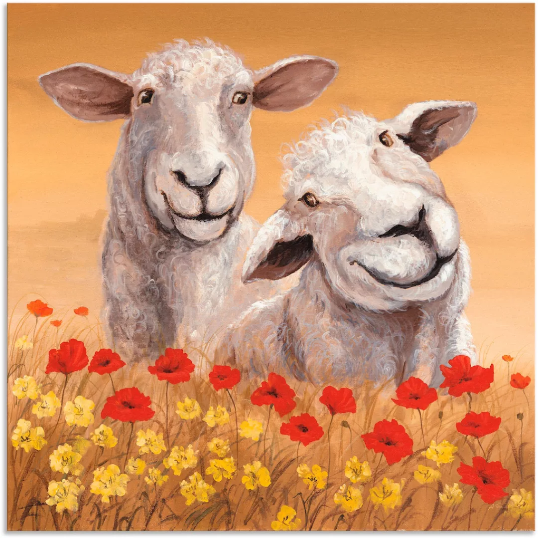 Artland Wandbild "Schafe", Haustiere, (1 St.) günstig online kaufen