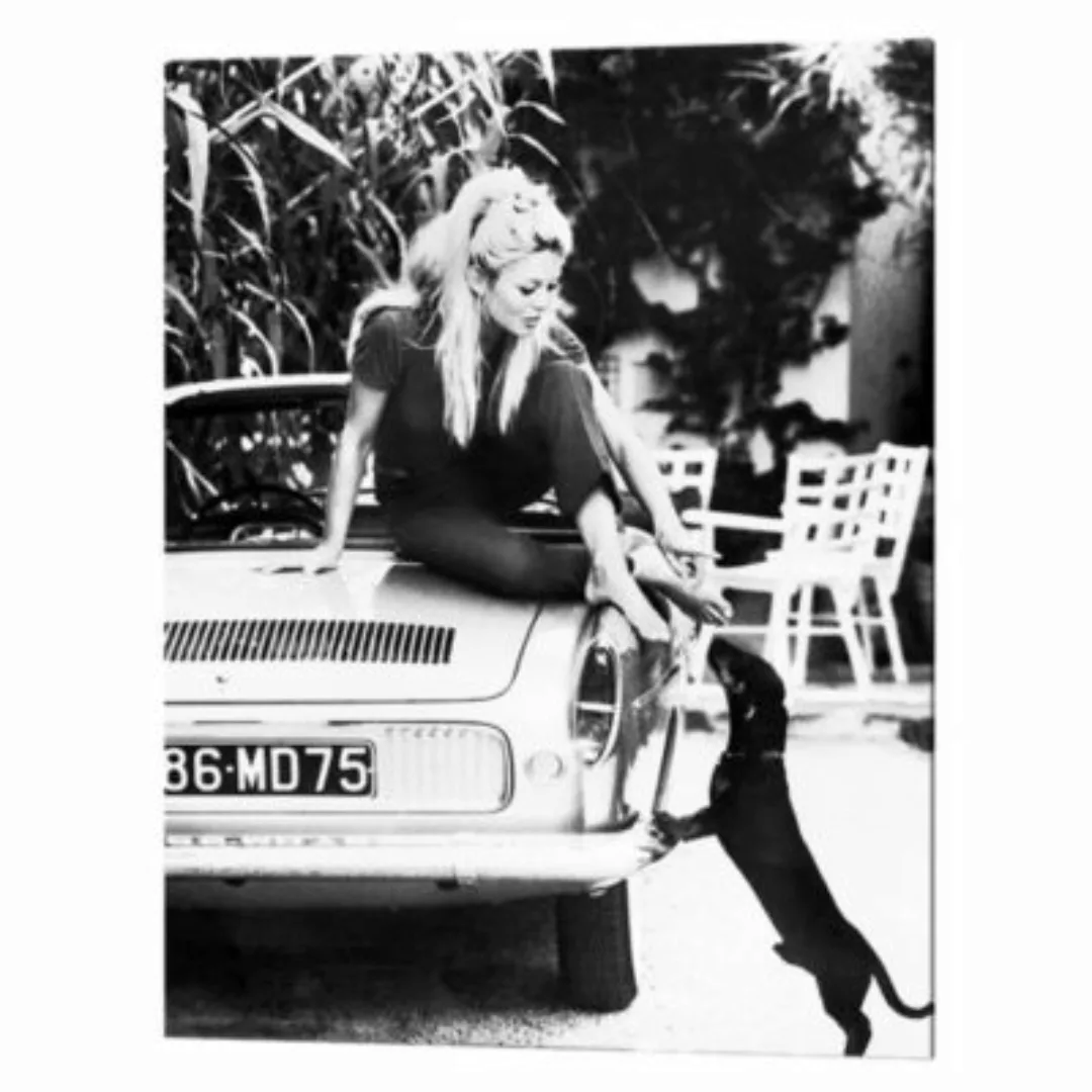 Any Image Wandbild Brigitte Bardot grau Gr. 60 x 80 günstig online kaufen