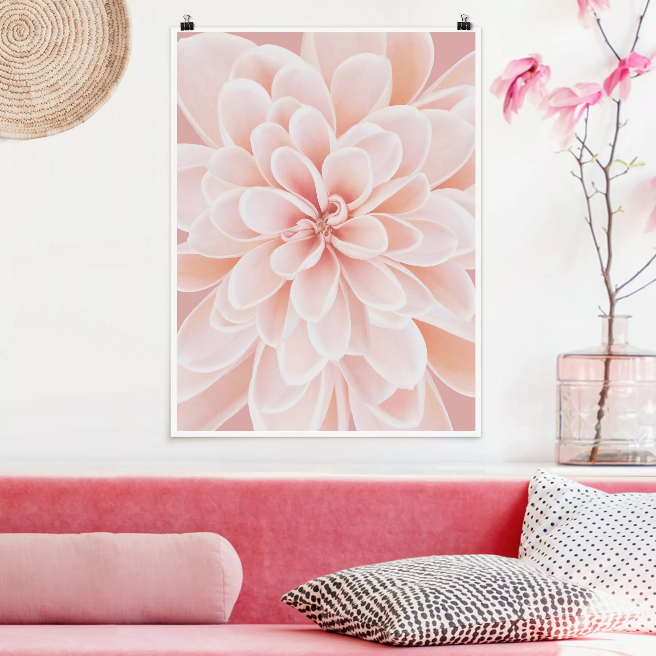 Poster Fotografie Dahlie in Pastellrosa günstig online kaufen