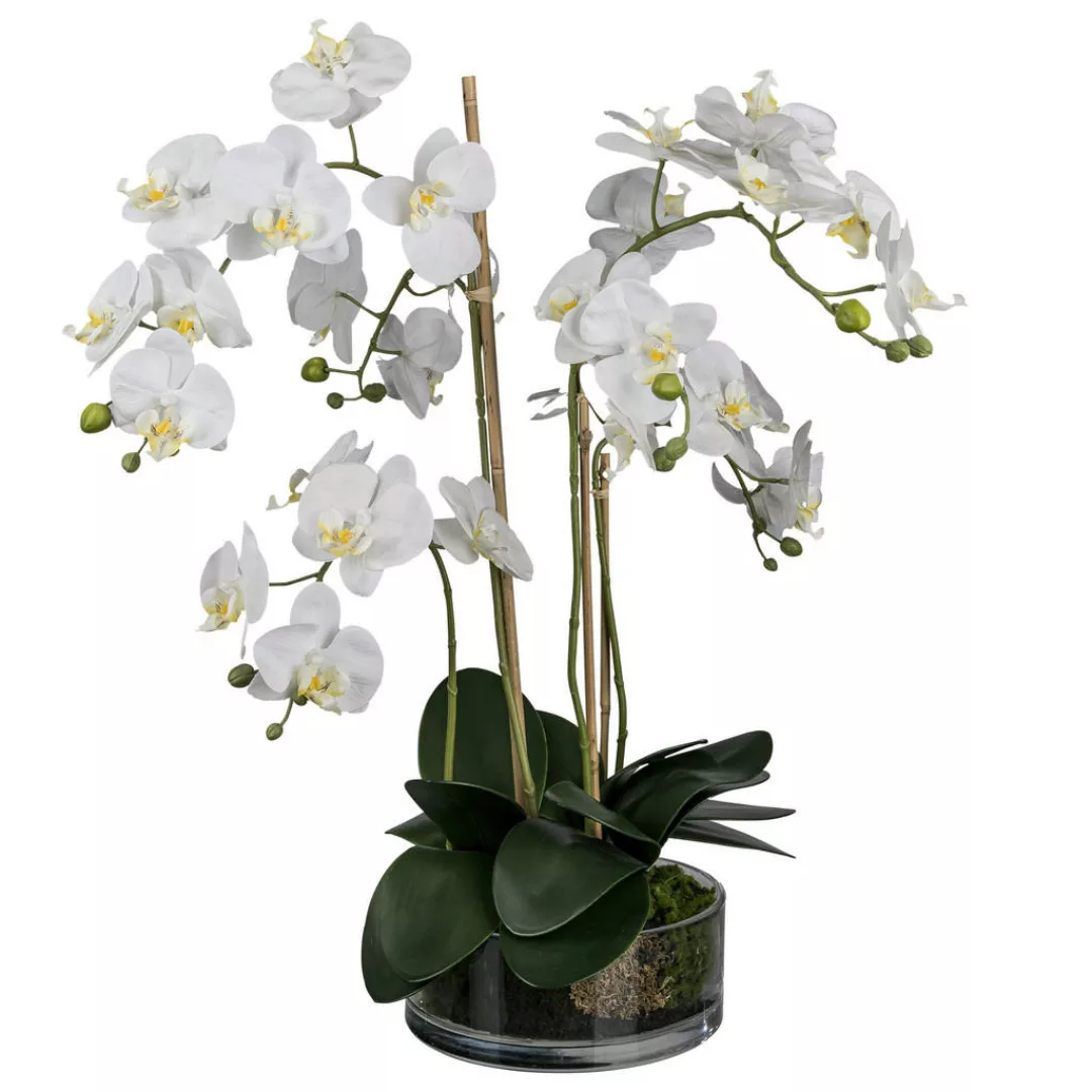 Kunstpflanze Phalaenopsis weiß Kunststoff B/H/L: ca. 27x50x27 cm günstig online kaufen