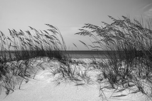 Papermoon Fototapete »Strand Schwarz & Weiß« günstig online kaufen