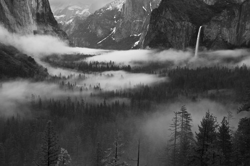 Papermoon Fototapete »Photo-Art HONG ZENG, NEBEL, DER IN YOSEMITE VALLEY SC günstig online kaufen