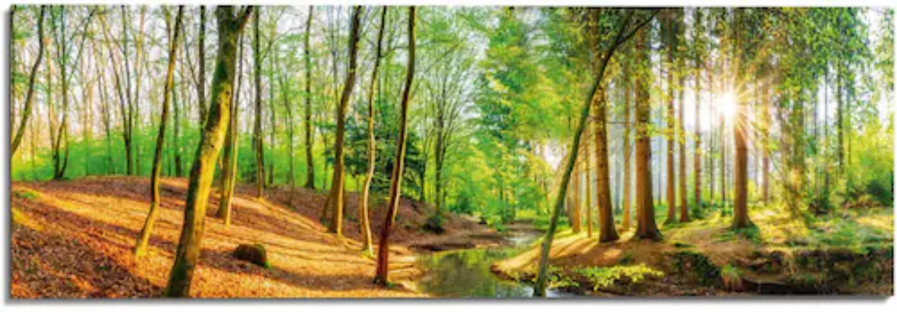 Reinders! Wandbild »Sonniger Wald« günstig online kaufen