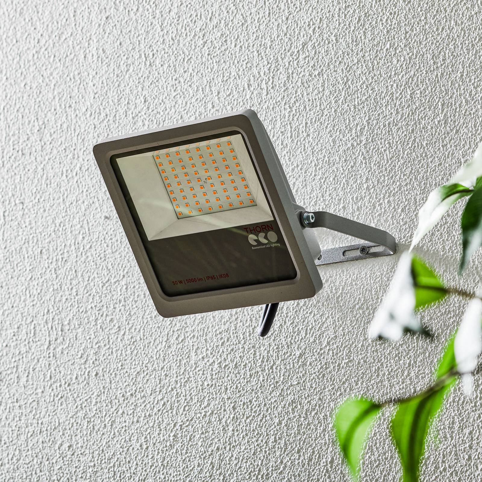 THORNeco Leonie LED-Strahler IP65 3.000 K 50 W günstig online kaufen