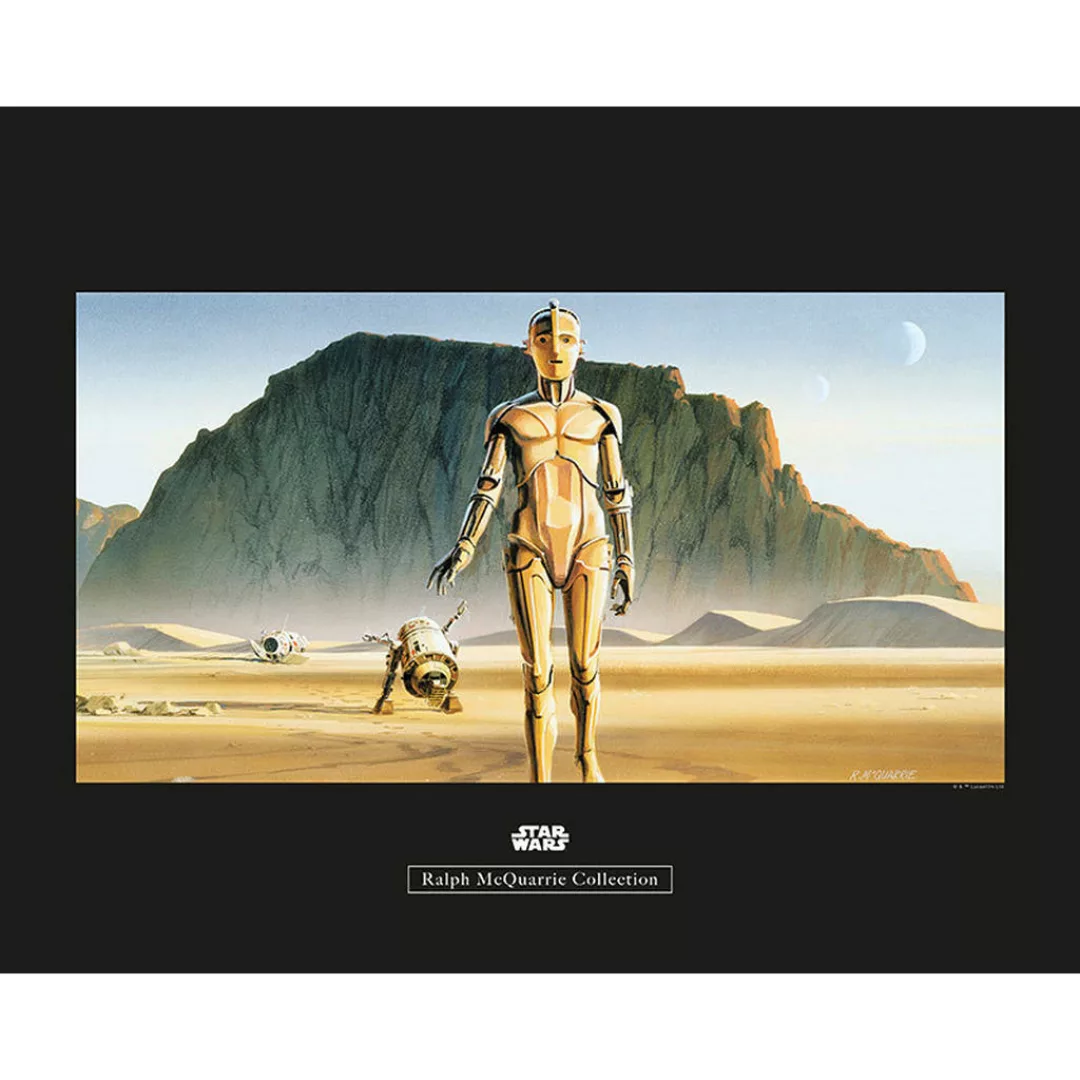 Komar Wandbild Star Wars Classic RMQ Droids Star Wars - Classic B/L: ca. 50 günstig online kaufen