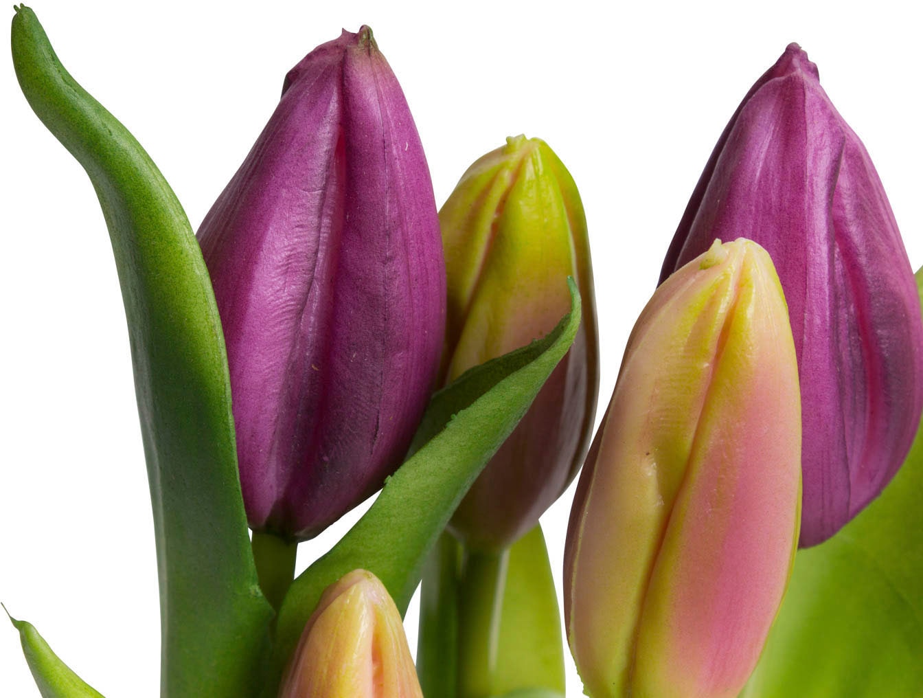 my home Kunstblume "Tulpenpflanze mit 5 Knospen" günstig online kaufen