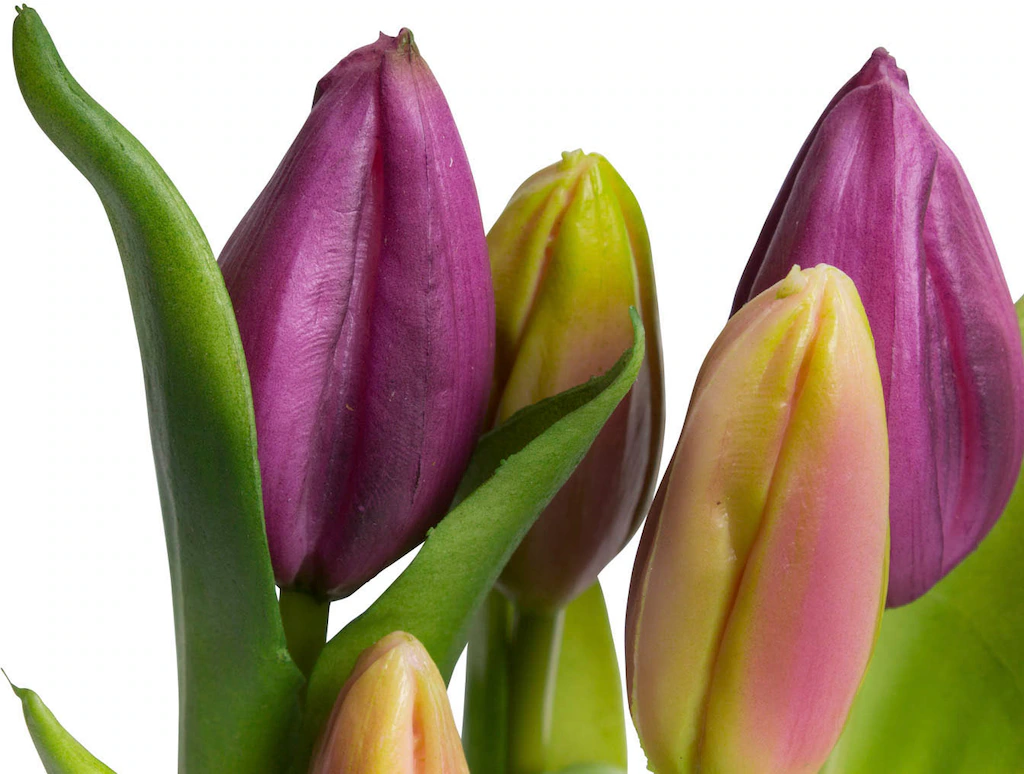 my home Kunstblume "Tulpenpflanze mit 5 Knospen" günstig online kaufen