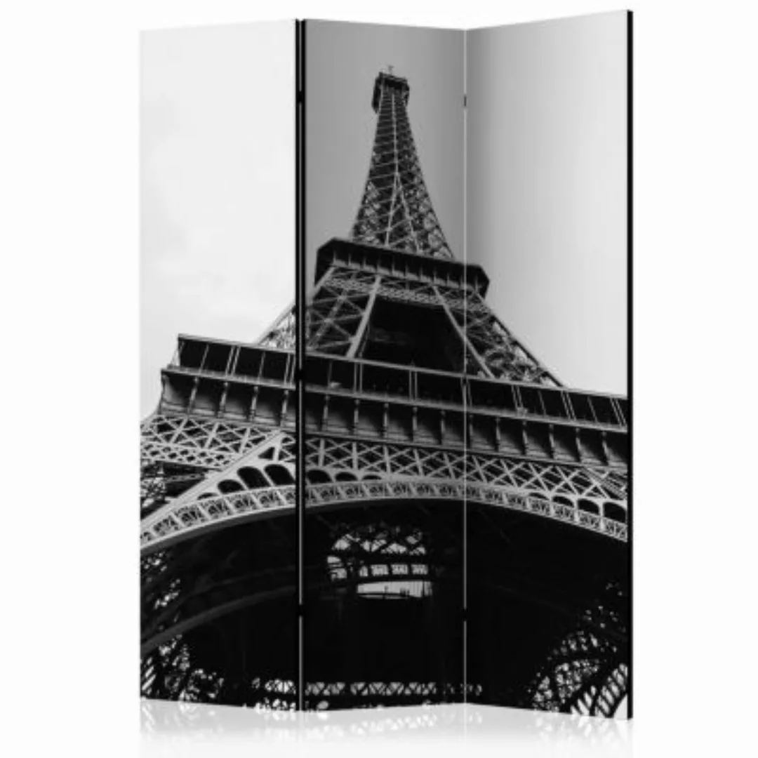 artgeist Paravent Paris Giant [Room Dividers] schwarz/weiß Gr. 135 x 172 günstig online kaufen