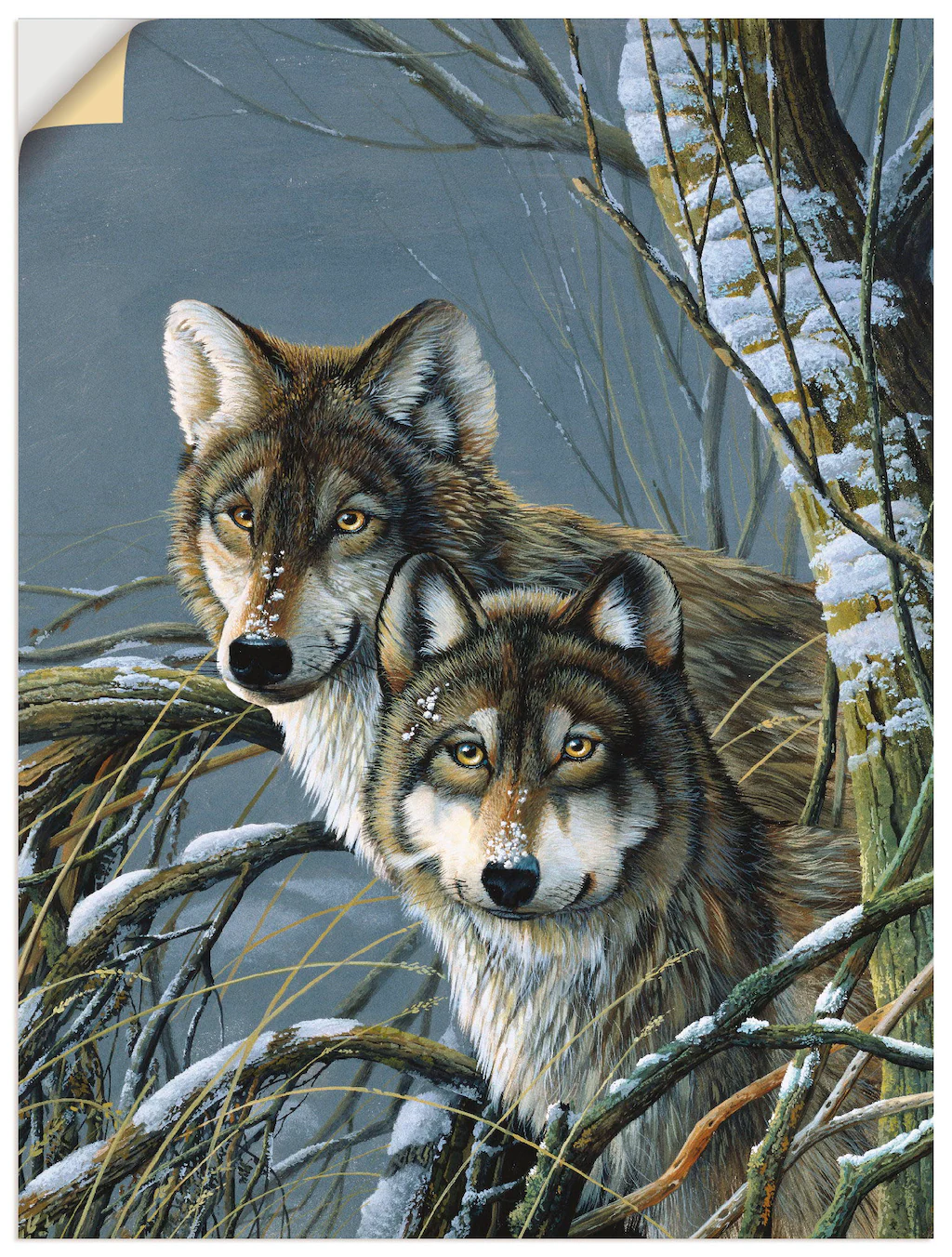Artland Wandfolie "Zwei Wölfe", Wildtiere, (1 St.), selbstklebend günstig online kaufen