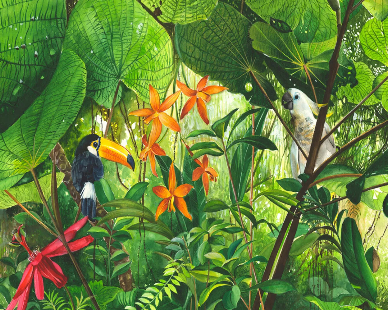 Fototapete "Dschungel" 4,00x2,50 m / Glattvlies Brillant günstig online kaufen