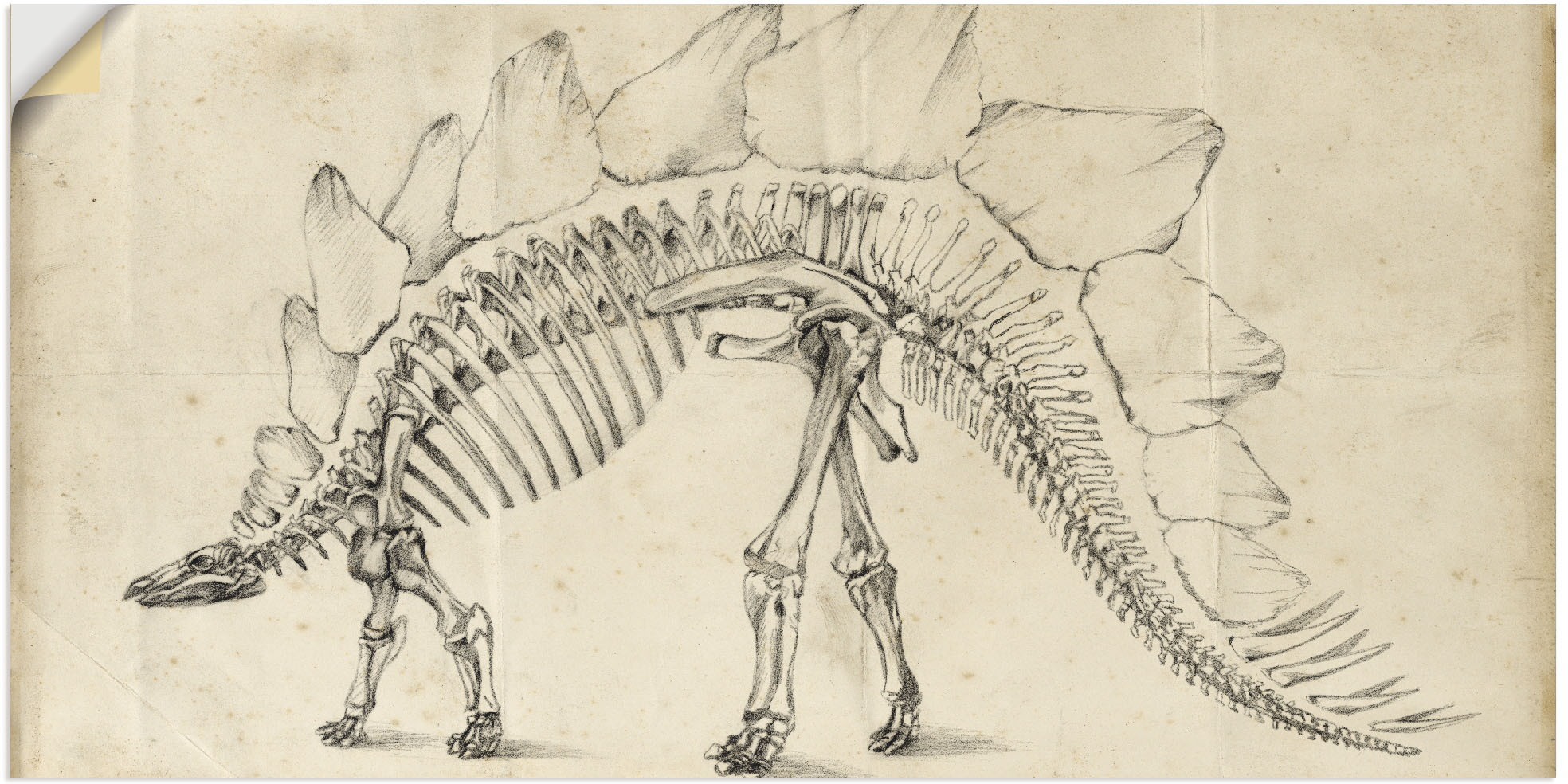 Artland Wandbild »Dinosaurier Lehre III«, Dinosaurier, (1 St.), als Alubild günstig online kaufen