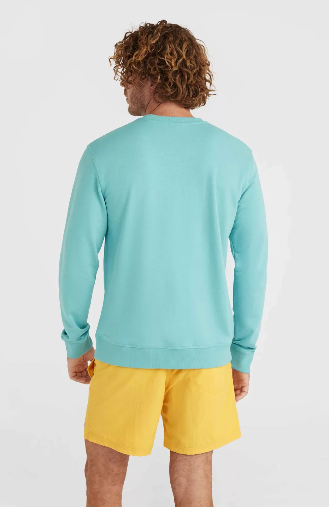 ONeill Sweatshirt "ONEILL LOGO CREW" günstig online kaufen