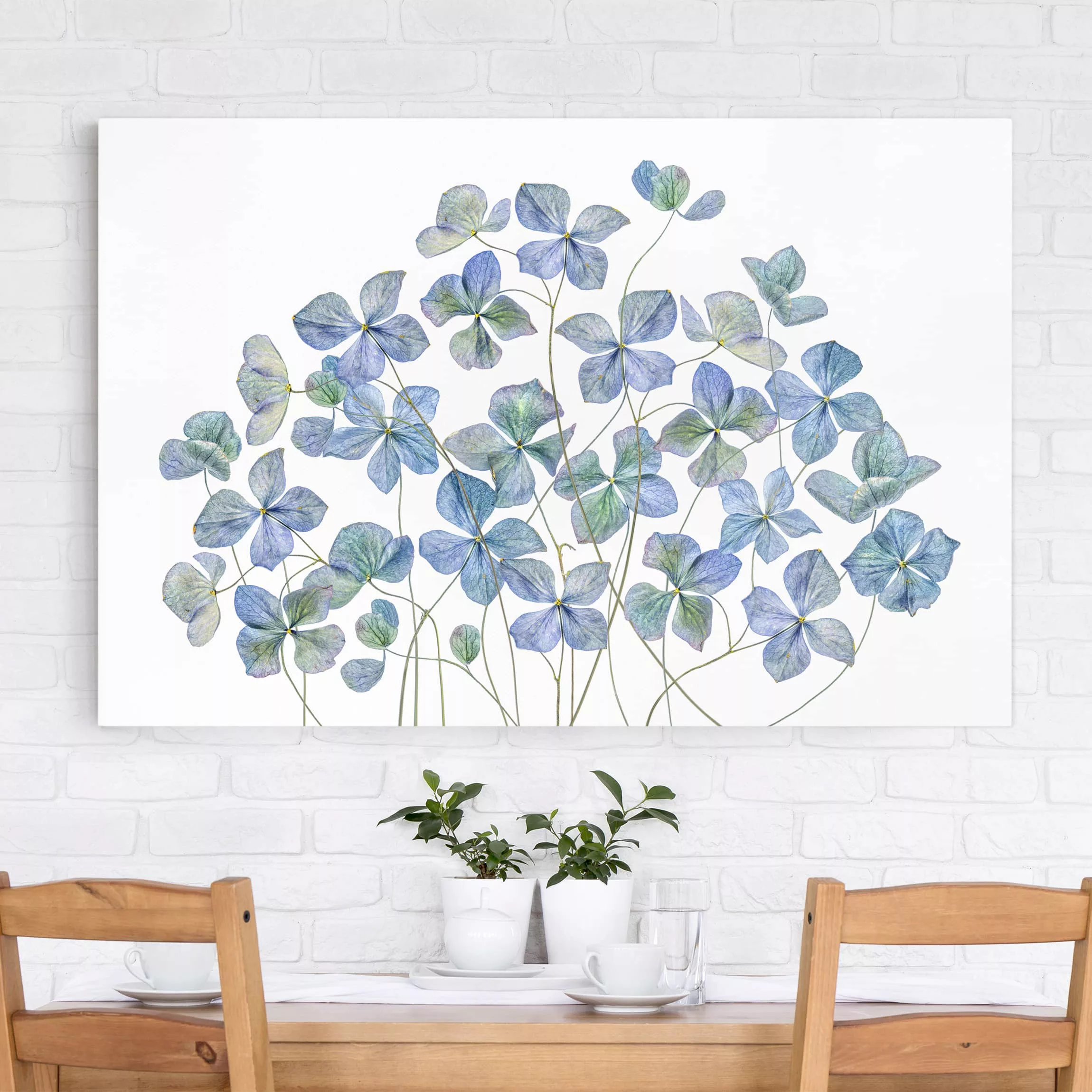 Leinwandbild Blumen - Querformat Blaue Hortensienblüten günstig online kaufen