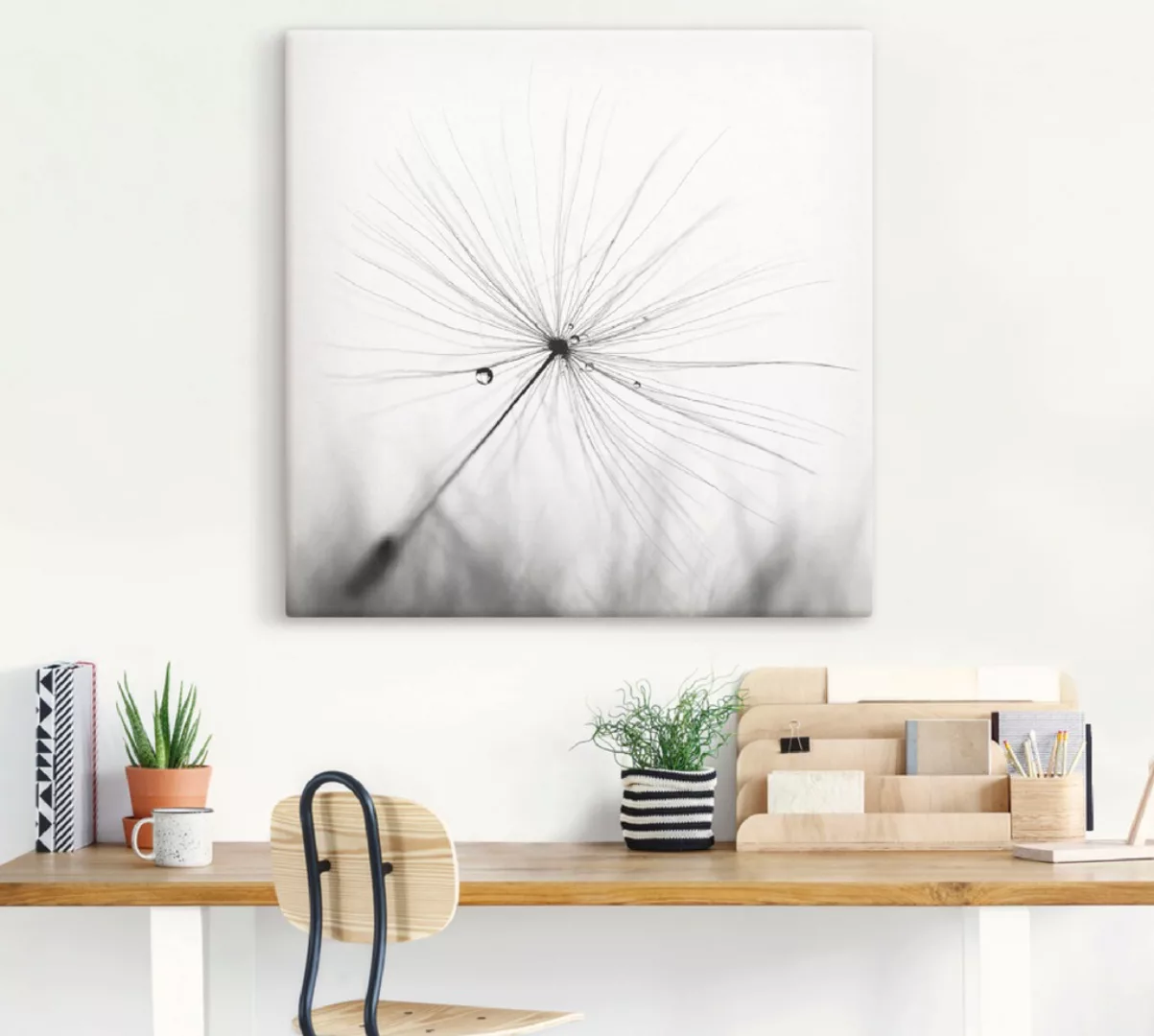 Artland Wandbild "Pusteblume Schirmchen", Blumen, (1 St.), als Alubild, Out günstig online kaufen