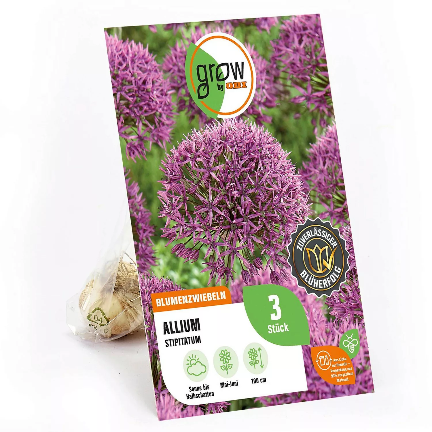 GROW by OBI Zierlauch Stipitatum Rosa 3 Stück Allium günstig online kaufen