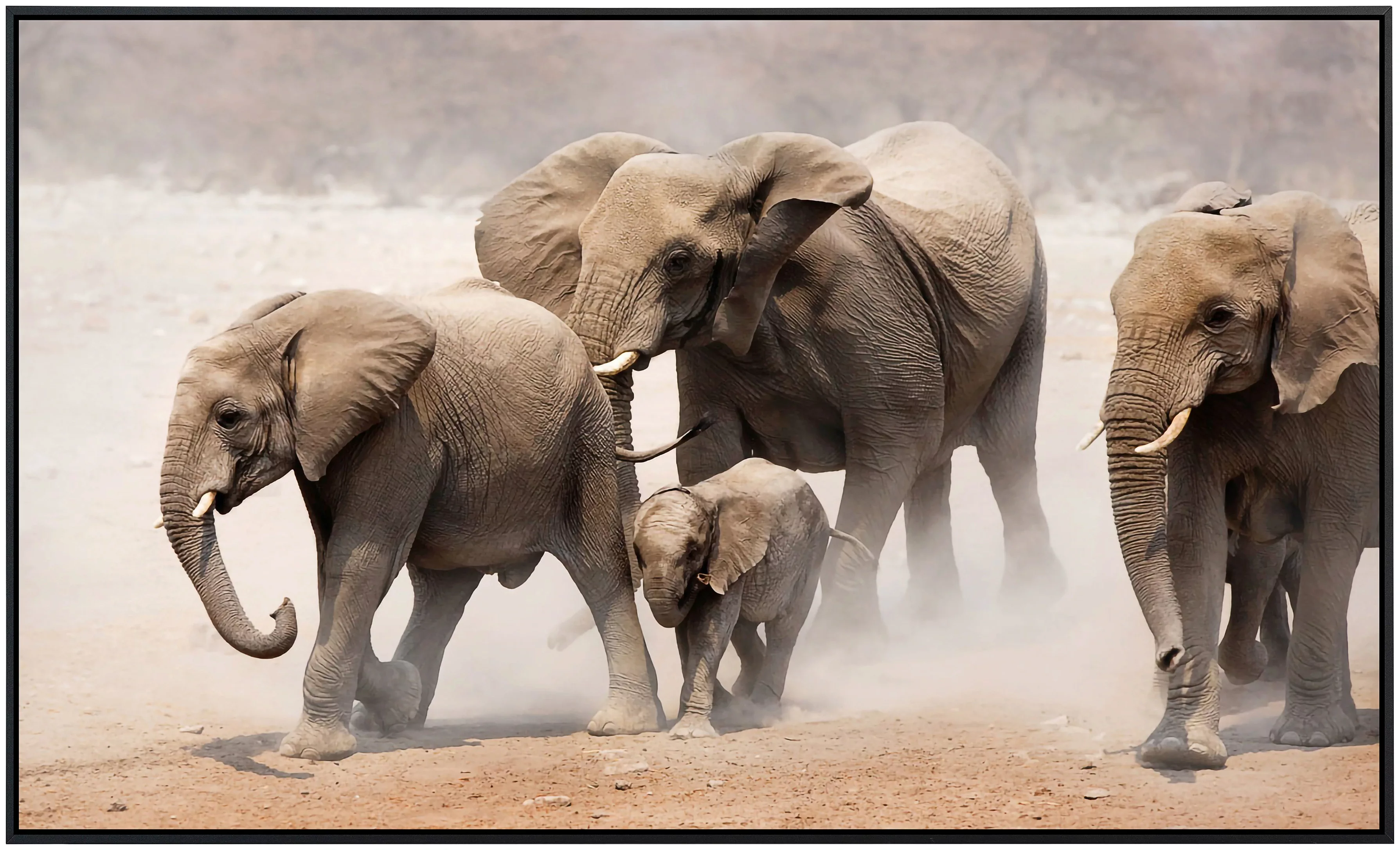 Papermoon Infrarotheizung »Elefantenherde«, sehr angenehme Strahlungswärme günstig online kaufen