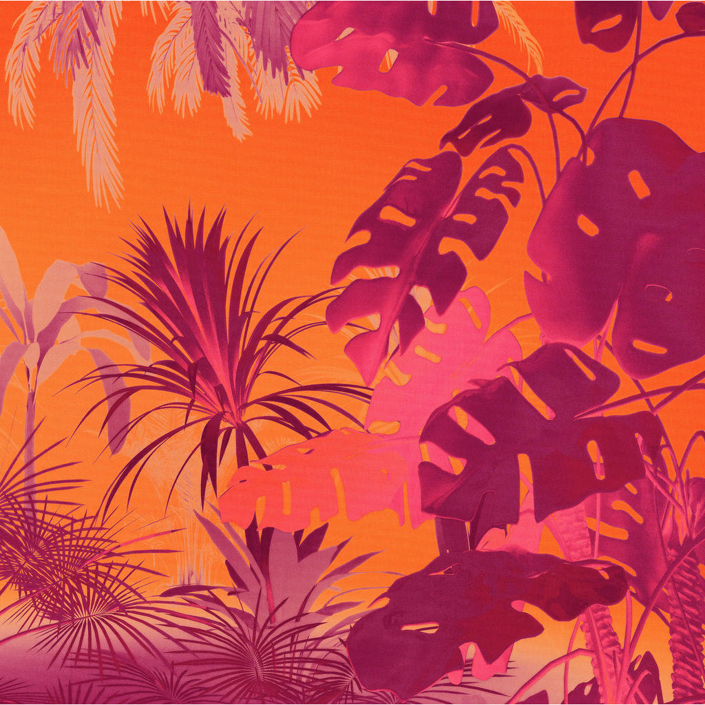 Komar Fototapete Funky Jungle B/L: ca. 250x250 cm günstig online kaufen