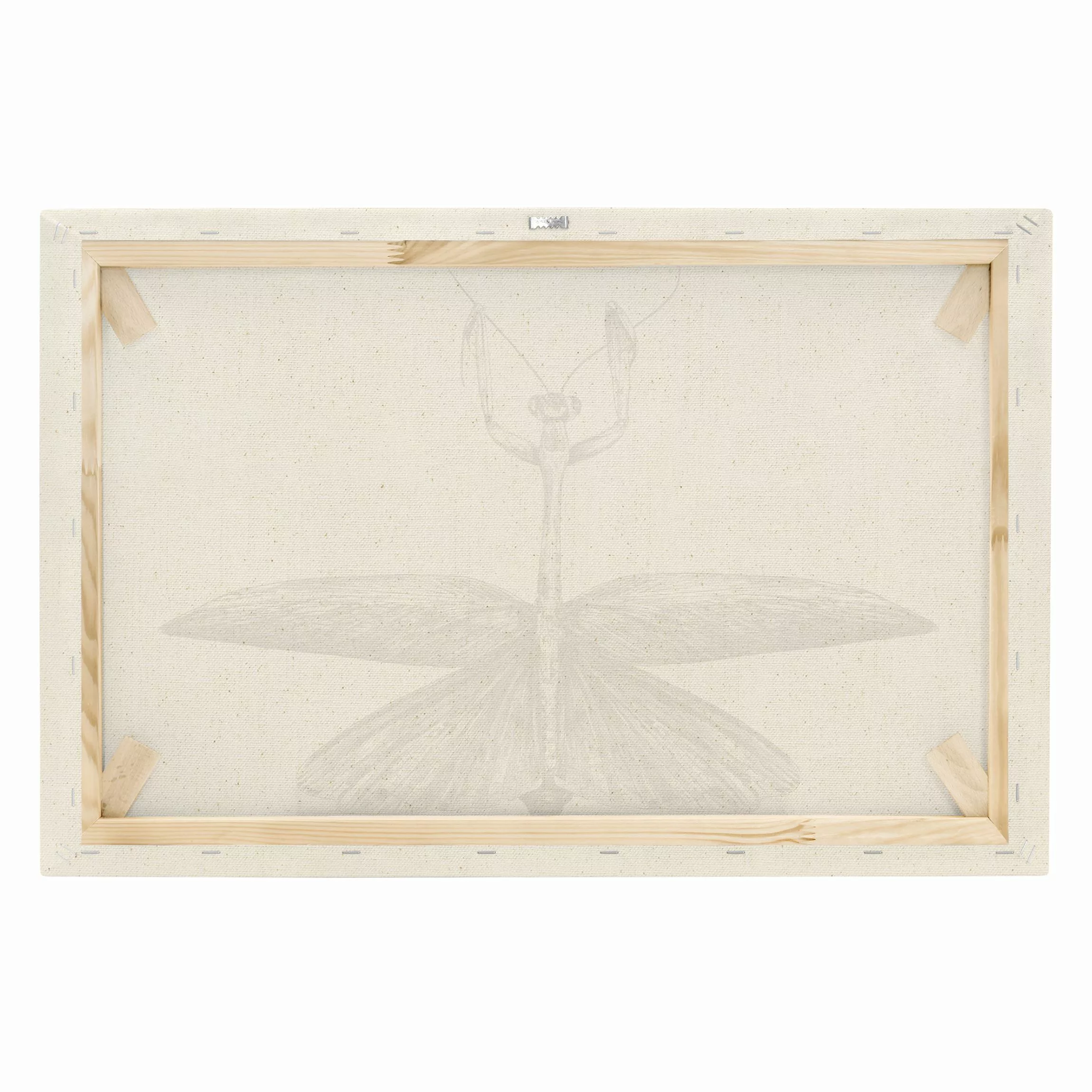 Leinwandbild auf Naturcanvas Illustration stolze Mantis Schwarz günstig online kaufen