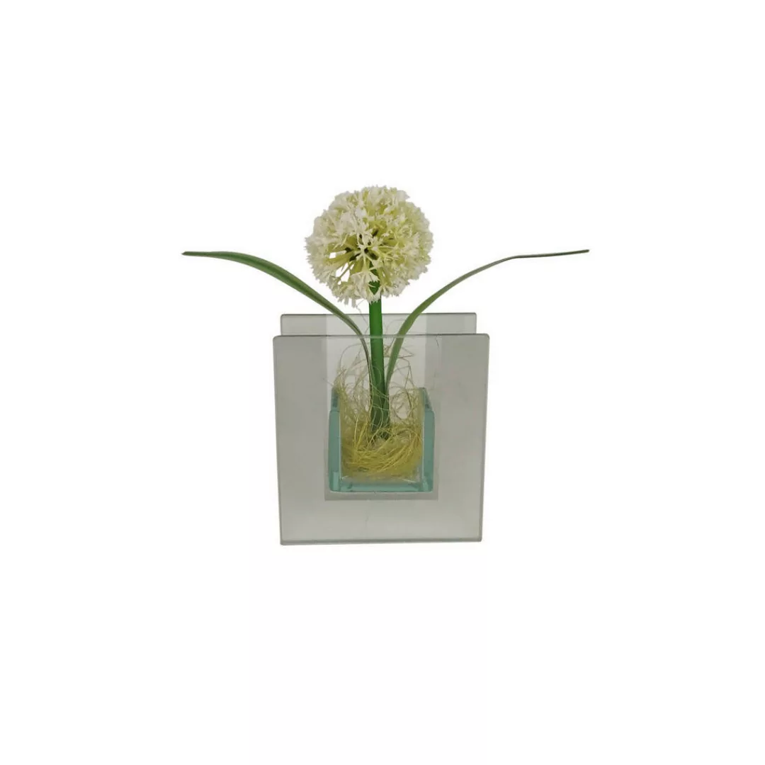 POCOline Vase klar Glas B/H/L: ca. 4x9x8,5 cm günstig online kaufen