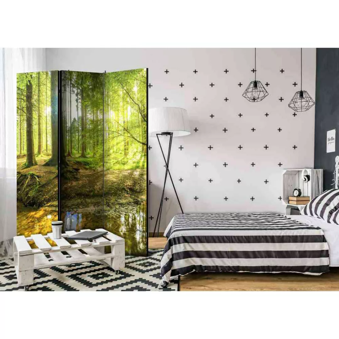Paravent Raumteiler mit Wald Motiv 3-teilig günstig online kaufen