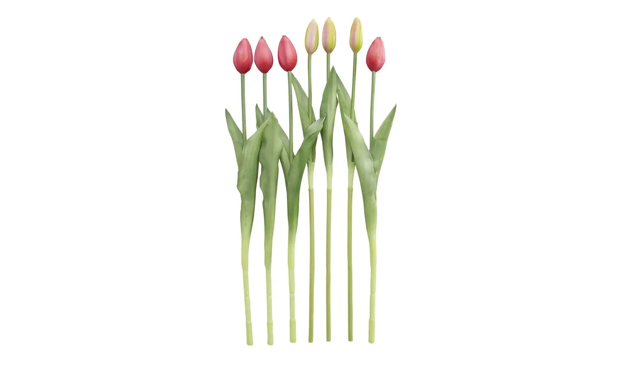 Tulpenbund  7-fach   ¦ rosa/pink ¦ Kunststoff,PVC ¦ Maße (cm): H: 44 Access günstig online kaufen