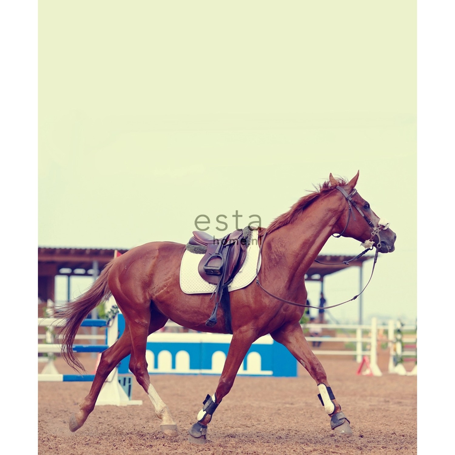 ESTAhome Fototapete Pferd Braun 232,5 cm x 2,79 m 158806 günstig online kaufen